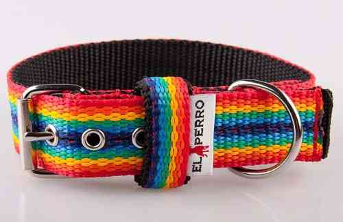 El Perro Halsband Rainbow 3cm