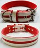El Perro Halsband Strips Rot-Weiss