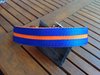 El Perro Halsband Strips Blau-Orange
