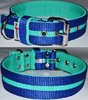 El Perro Halsband Strips Blau-Mint