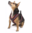 El Perro Hundegeschirr Fleece  Comix- 2,5 cm